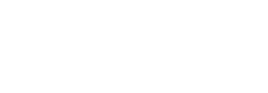 Web logo echo white