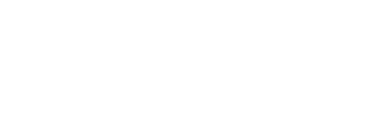 Web logo rhino white